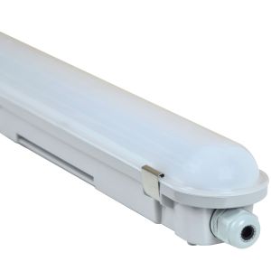 FR-Wannenleuchte Eco HP 1200 36W IP65