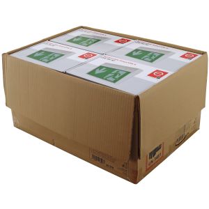 Baupack Notleuchte EasyCON X 3H IP54 - LiFePO4