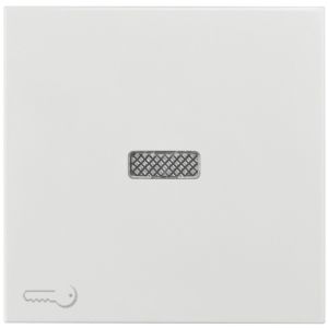 Wippen mit Linse und Schlüsselsymbol