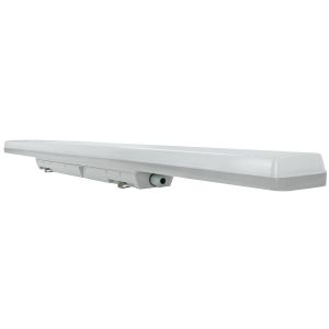 FR-Wannenleuchte Facility 55W multiwatt CCT