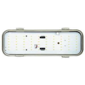 Ovalleuchte MIDI 12W IP65