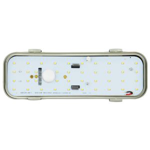 Ovalleuchte MIDI Sensor 12W IP65