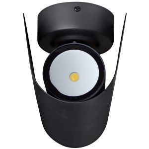 Wandleuchte NINA 350° up&down 12W CCT IP65
