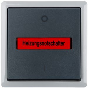 AP-FR Ausschalter 2p VARIO21 IP44